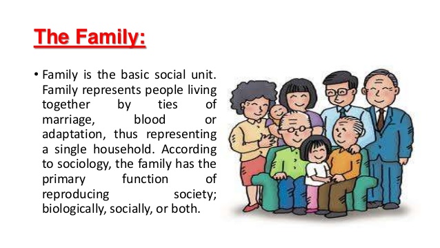 family function definition
